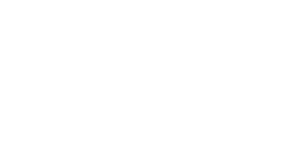 DMI logo