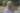 BORN FOR THIS: Mehreen
